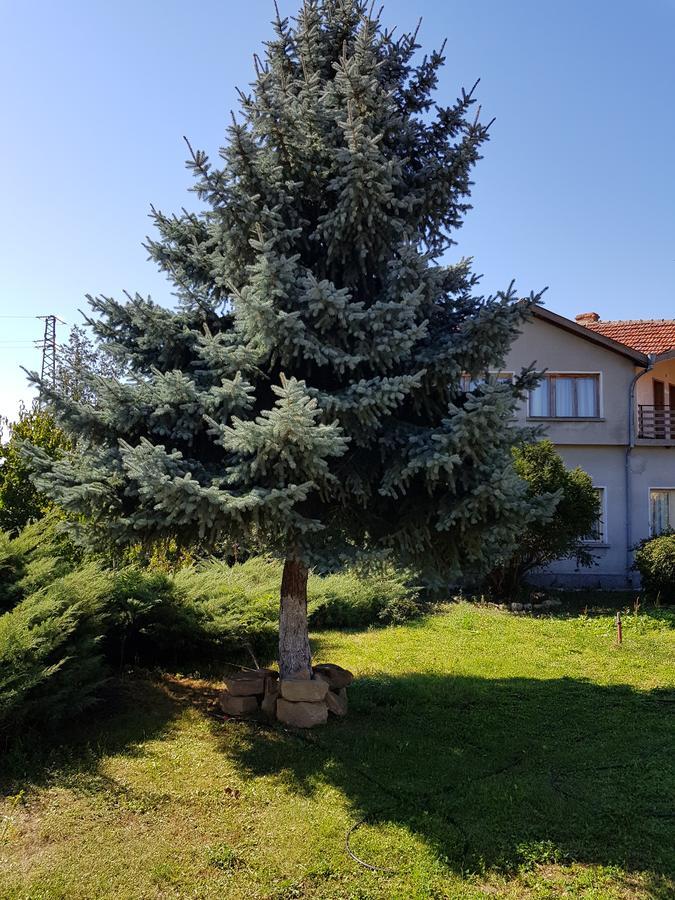 Къща За Гости Садово Guest House Sadovo Esterno foto